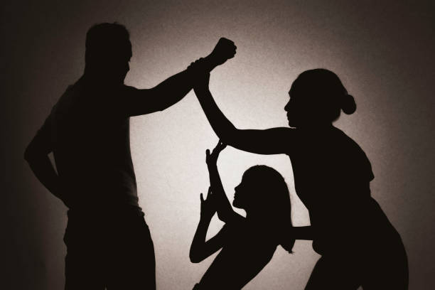 Best Family Lawyer in Jaipur